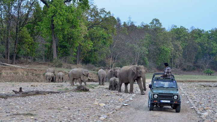 rajaji-national-park