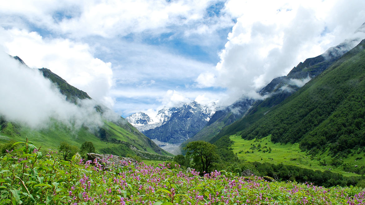 valley-of-flower